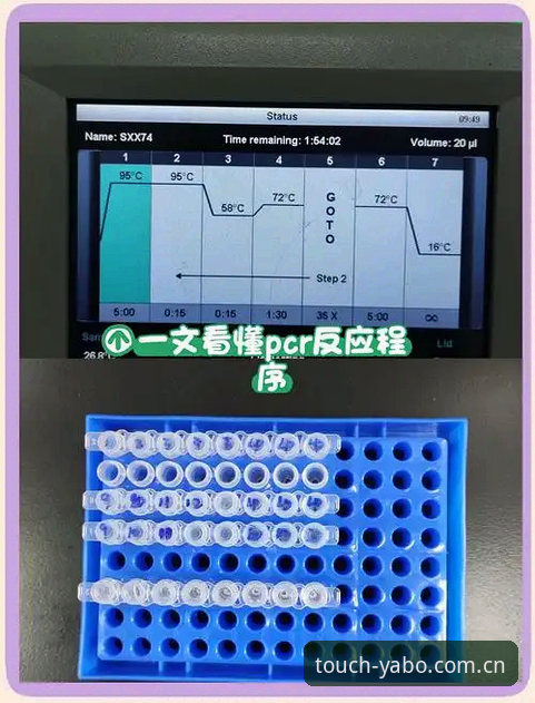 YABOSPORTS中国区下载全流程解析：从手机端到电脑端的实用指南